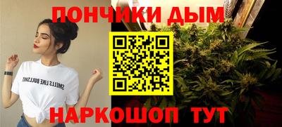 трава Бийск