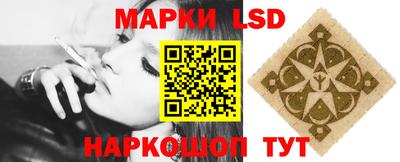 гашик Берёзовский