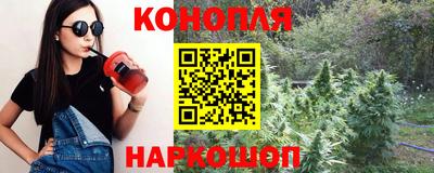 гашик Берёзовский