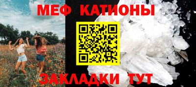 трава Бийск