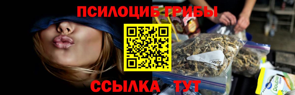 продажа наркотиков  Галлюциногенные грибы Magic Shrooms  Псилоцибиновые грибы Psilocybe  Вход с VPN  Добрянка 